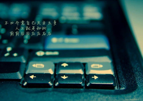 二丫網2ya.com.cn