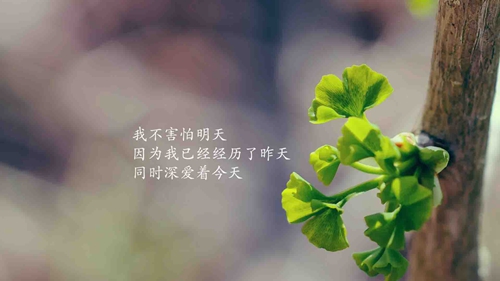 設計館www.shejiguan.cn