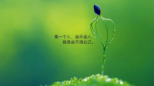 煙臺金東家居www.ytjdyj.com