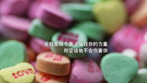 成都雙豪裝飾www.cdshzx.com