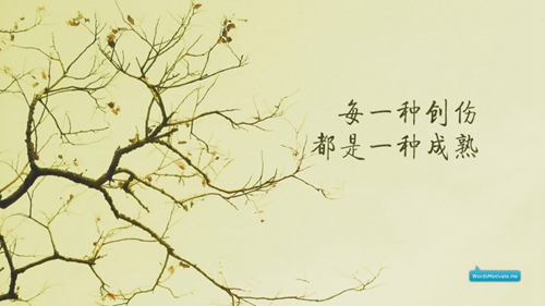 澳洲房產www.homeleaf.net