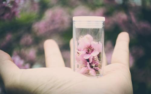 西安高新人才熱線hrdonline.com