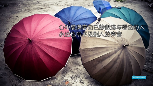 蘭陵王蘭花專用營養(yǎng)液旗艦店