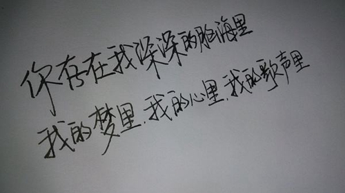 妻子的浪漫旅行2025什么時候拍攝的