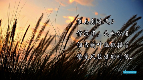 戶外柴火灶十大品牌