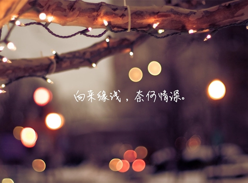 qq說說情感英文帶翻譯（通用15條）