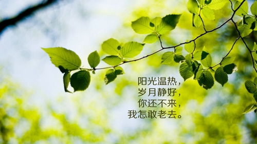 人生的說說大全
