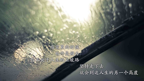 圓夢蚊蠅香