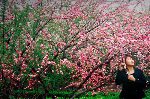 非主流網(wǎng)名孤獨(dú)且霸氣男