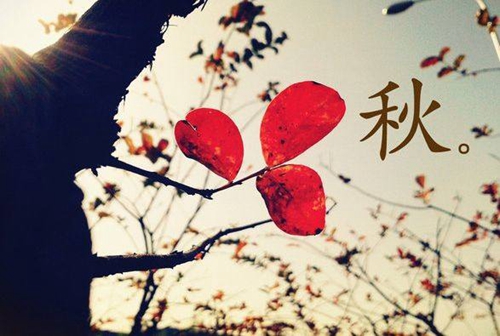高考英語網(wǎng)課最好的老師排行榜