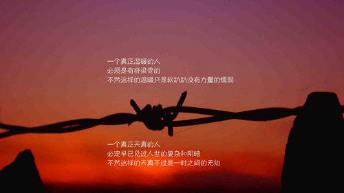 高壓鍋秘制土豆燉牛肉的極致美味秘訣大公開！