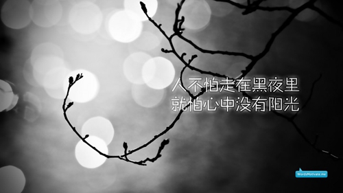 志愿服務品牌建設的關鍵是