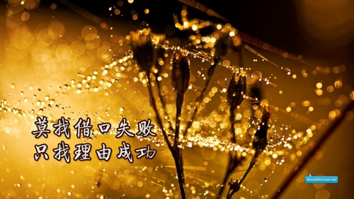 《靜愛之吻揭秘愛情最美的瞬間》