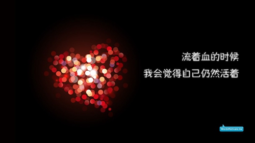 華帝股份即將上演股東大會盛宴