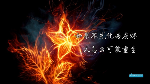 快手直播年齡大改造輕松幾步，煥然一新！