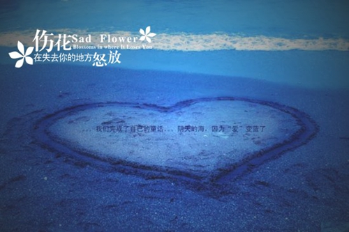海口申海花苑大揭秘！2025年房價飆升在即，搶購熱潮一觸即發！