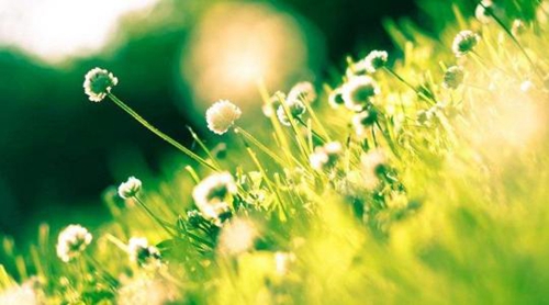 推薦40組簡短的有趣網名（簡潔有趣的網名）