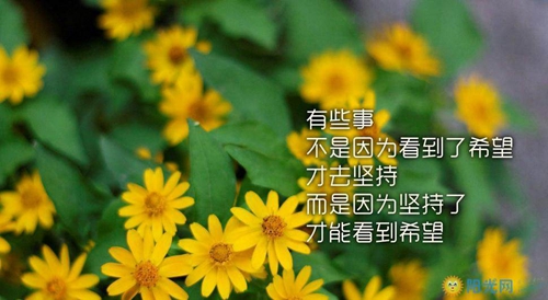 海南萬寧市興隆鎮石梅山莊四期最新房價
